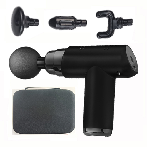 �ٵ����� SS10, ���� �� �ȸ��� ��������